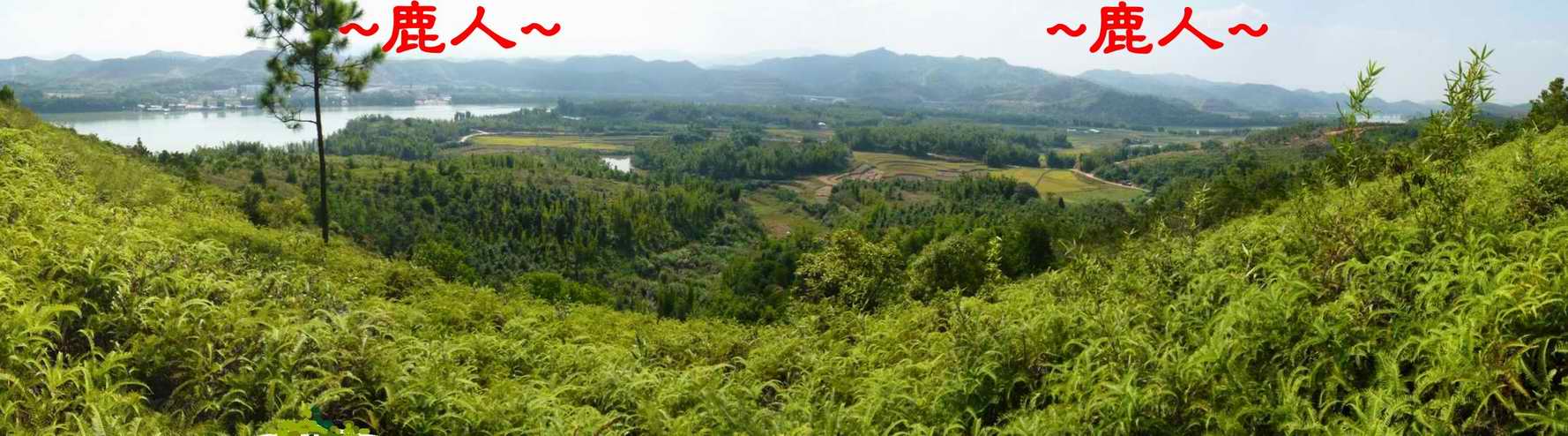 於父母山頂側面俯視下脈與穴場全景.JPG