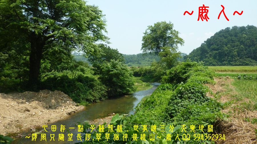 炎炎夏日_追田蟹_08.JPG