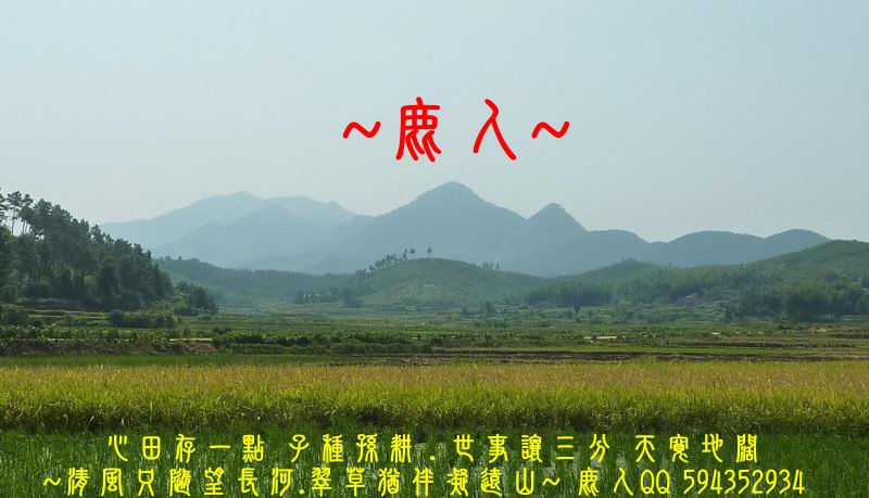 炎炎夏日_追田蟹_11.JPG