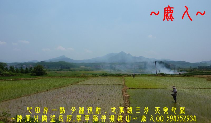 炎炎夏日_追田蟹_03.JPG