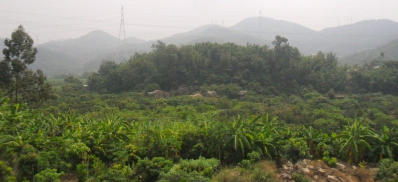近拍宅后山峦.jpg