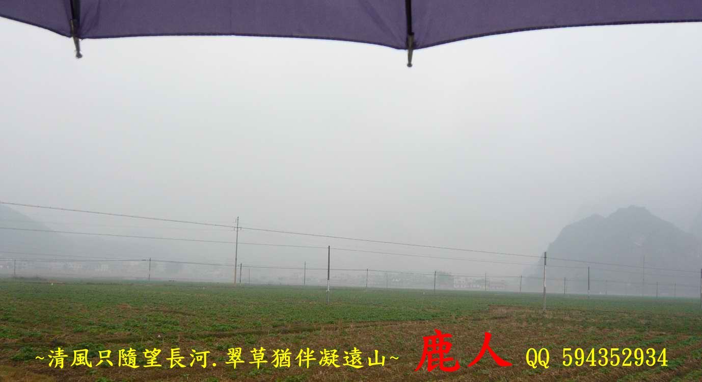 金燕歸_01.JPG