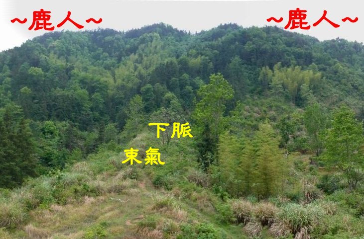 特_星體225.JPG