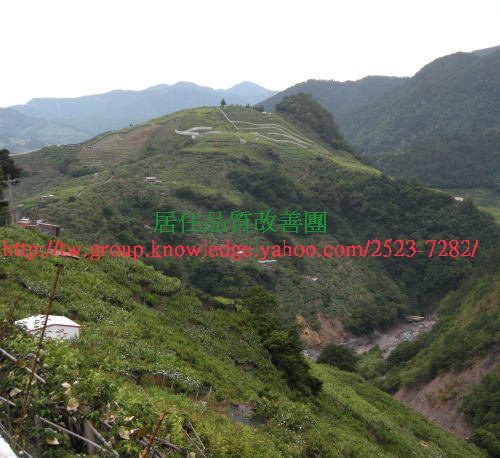 神龜鎮山河.jpg