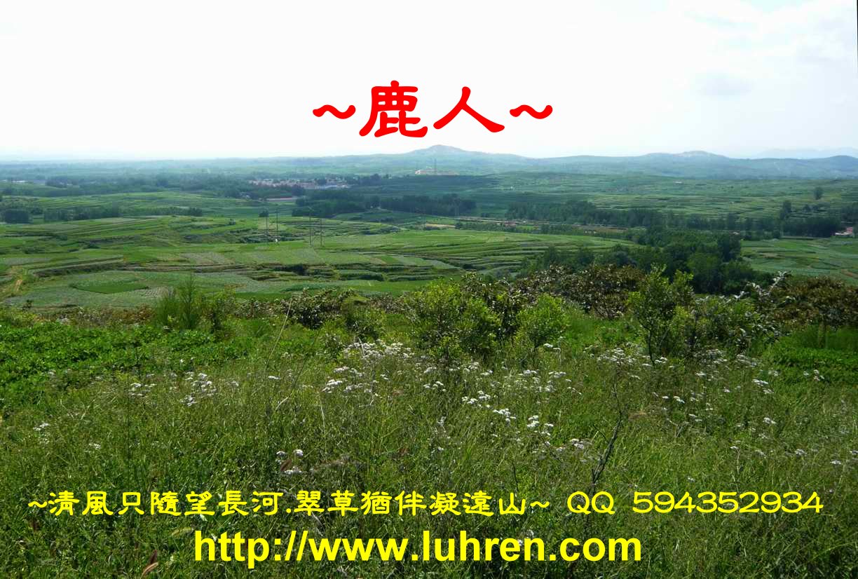 脈上看堂景一角.JPG