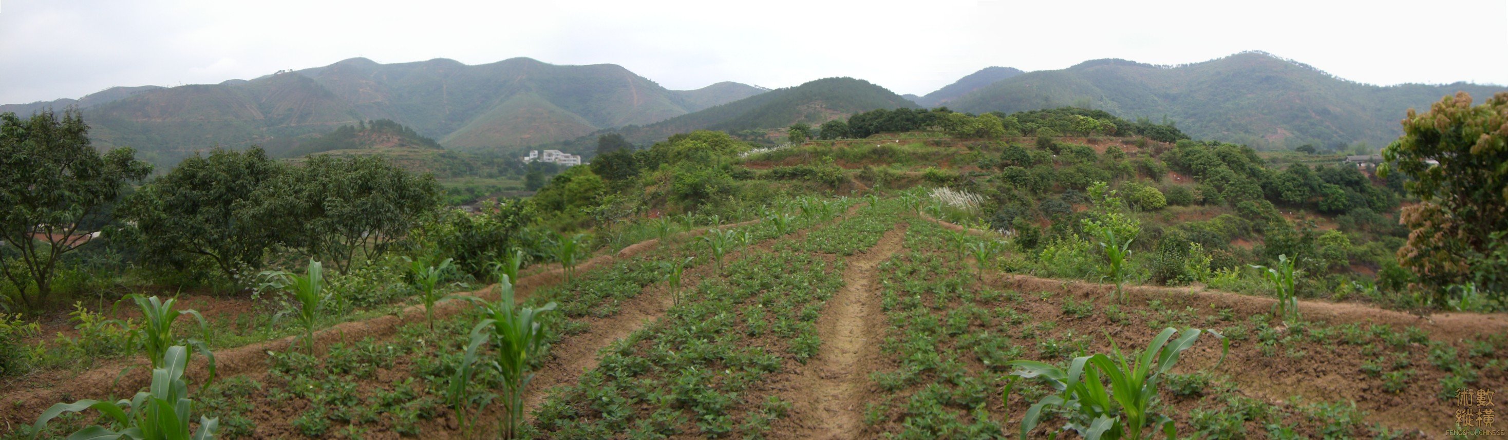 看祖山父母山來龍與束氣下脈全景.JPG