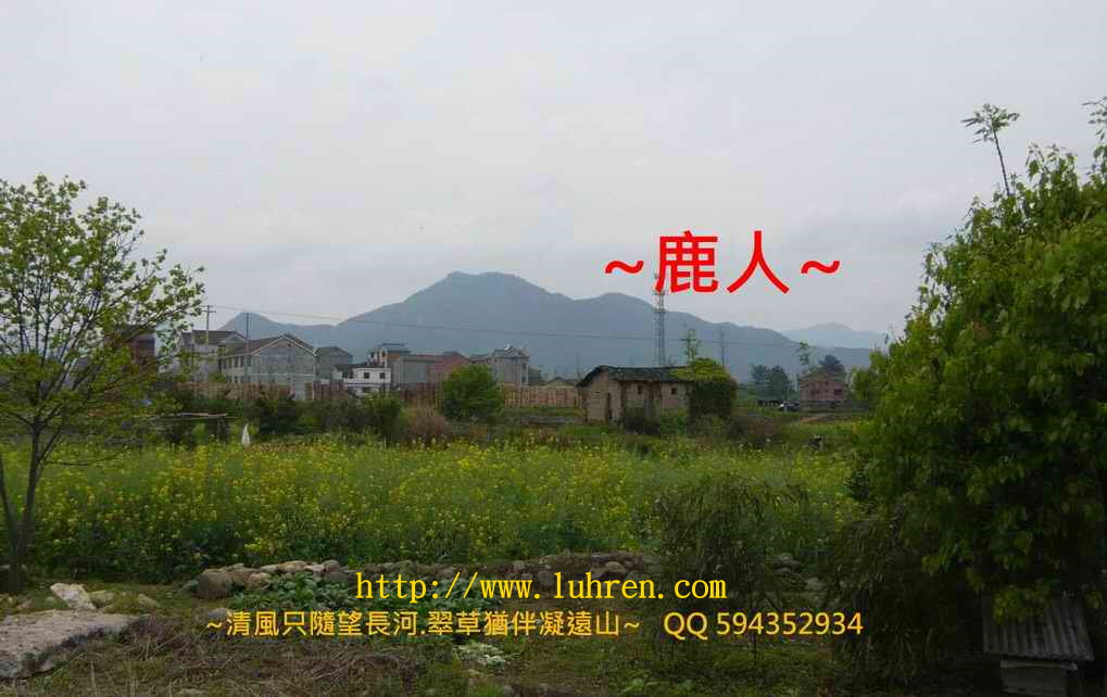 穿過水1_3.JPG