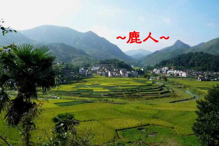 美美水水小山村_01_1.JPG