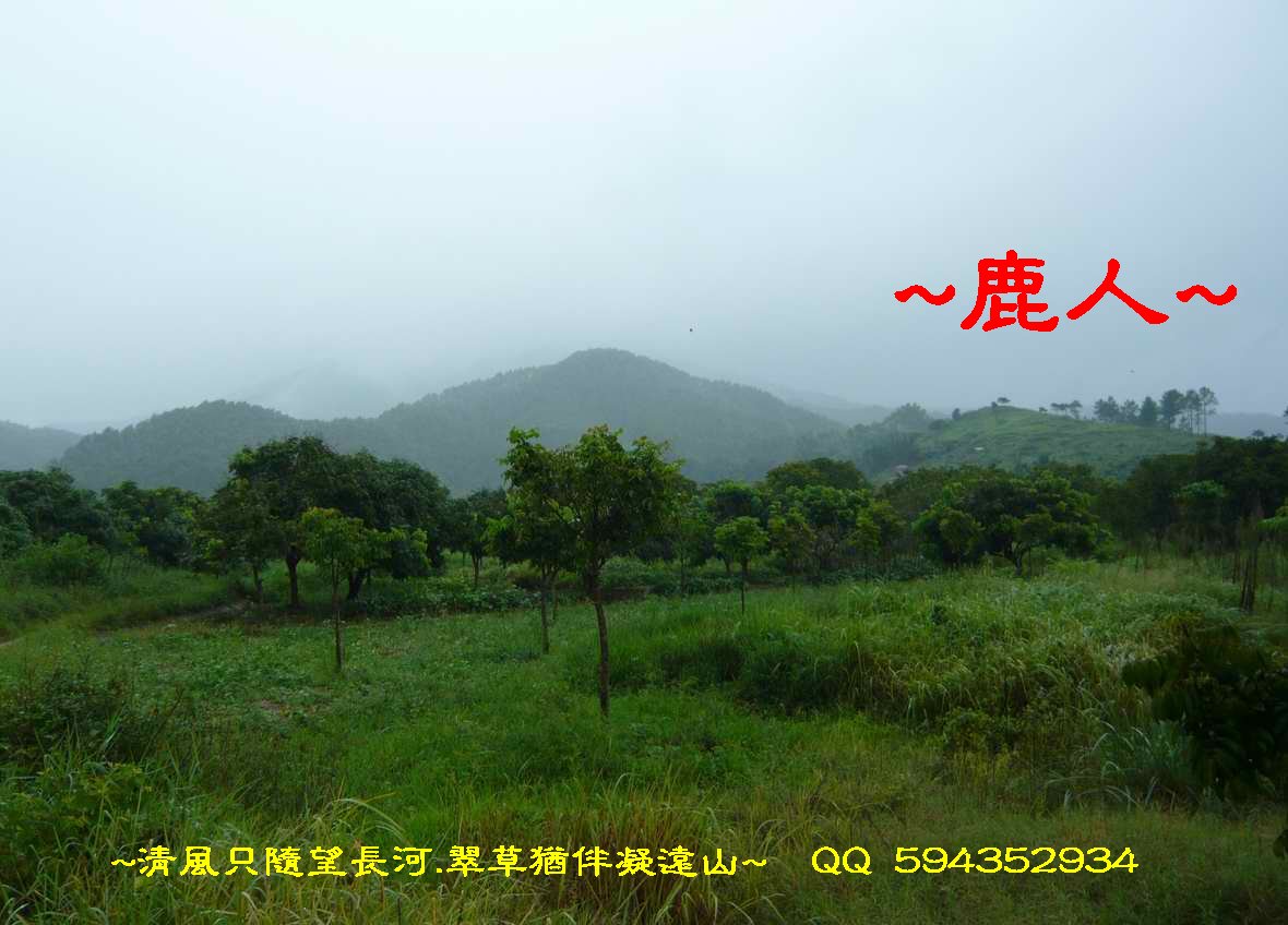 風雨中尋寶_01.JPG