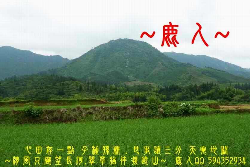 俺來敲金鐘_05.JPG
