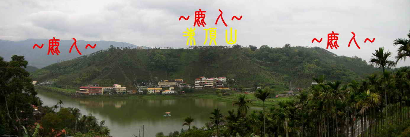 凍頂山照(A).JPG