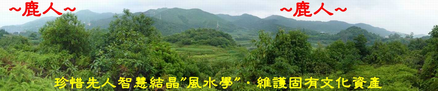 野牛_01.JPG
