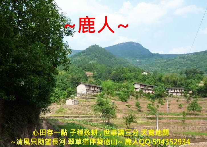 追_03.JPG