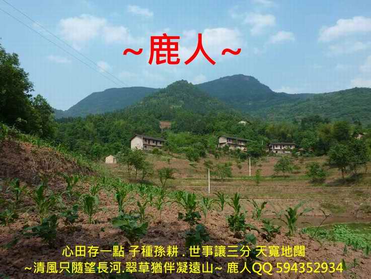 追_04.JPG