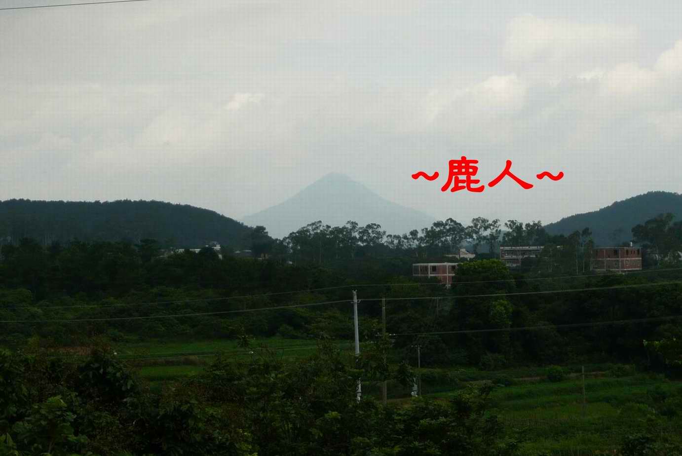 追著她_2.JPG