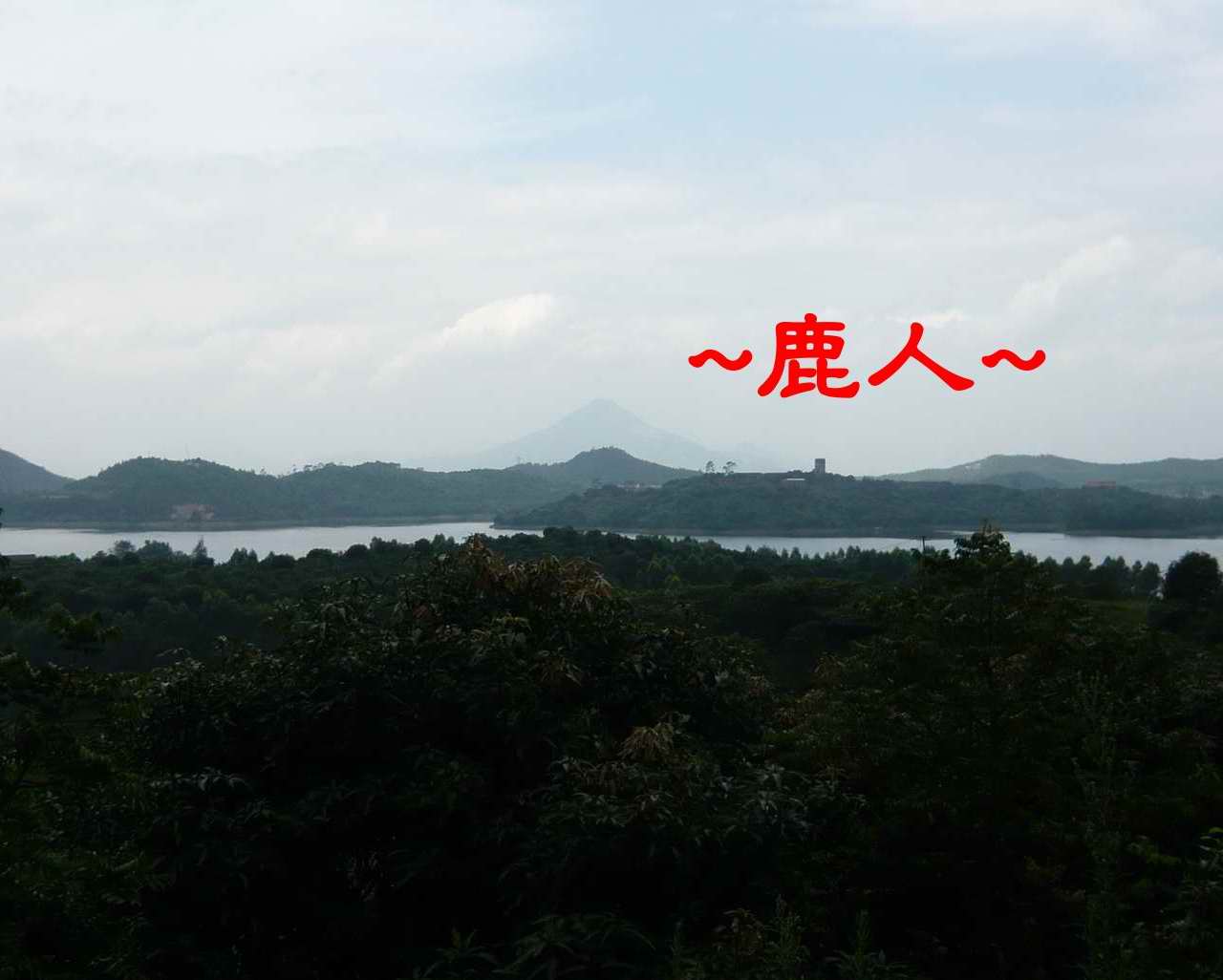 追著她_4.JPG