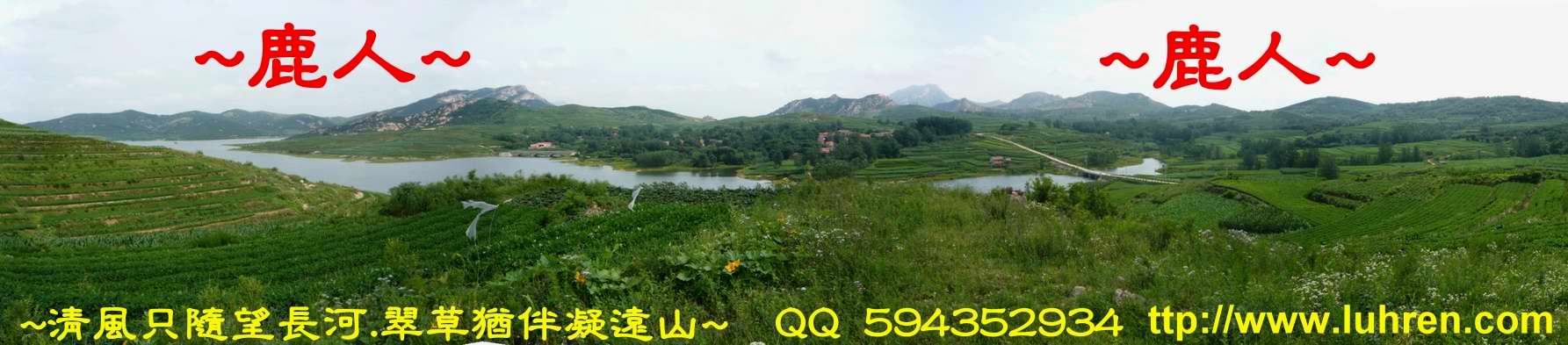 側看大龍行_601.JPG