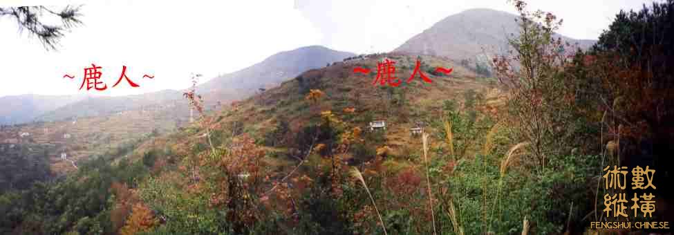 側看來龍祖山下脈剝換全景.JPG