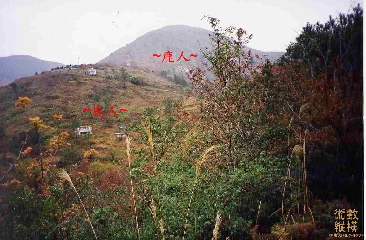 側看來龍祖山下脈剝換_2.jpg