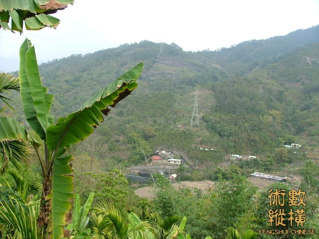 側面抽脈下段.jpg