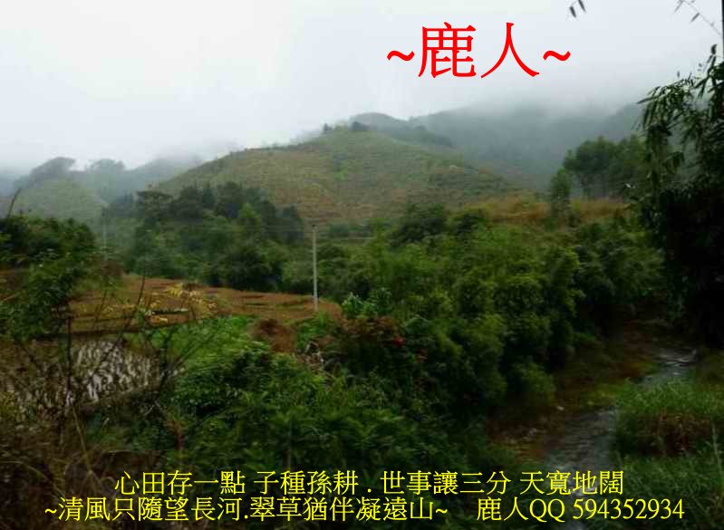 堂中座_01.JPG