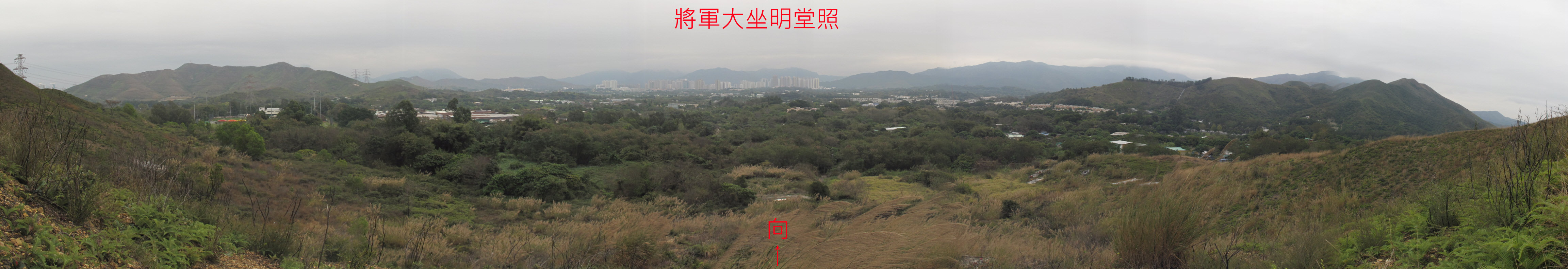 將軍大座明堂照.jpg