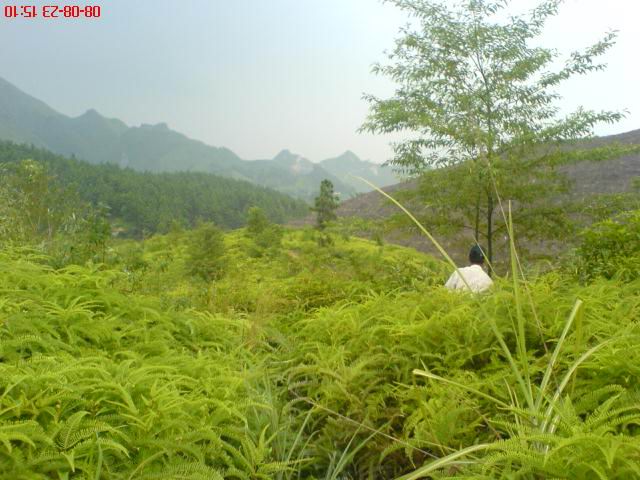 旋转 旋转 DSC00896.jpg
