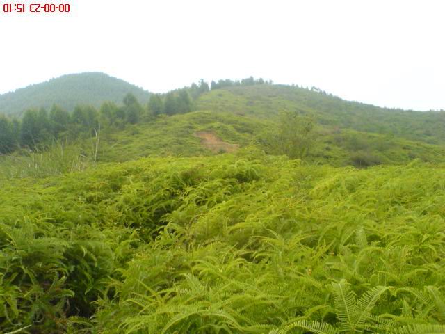 旋转 旋转 DSC00895.jpg