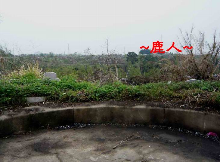 清明省思4.JPG