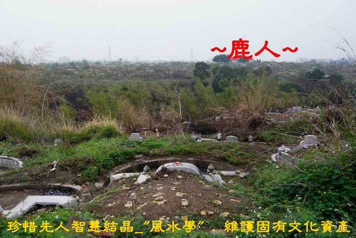 清明省思3.JPG