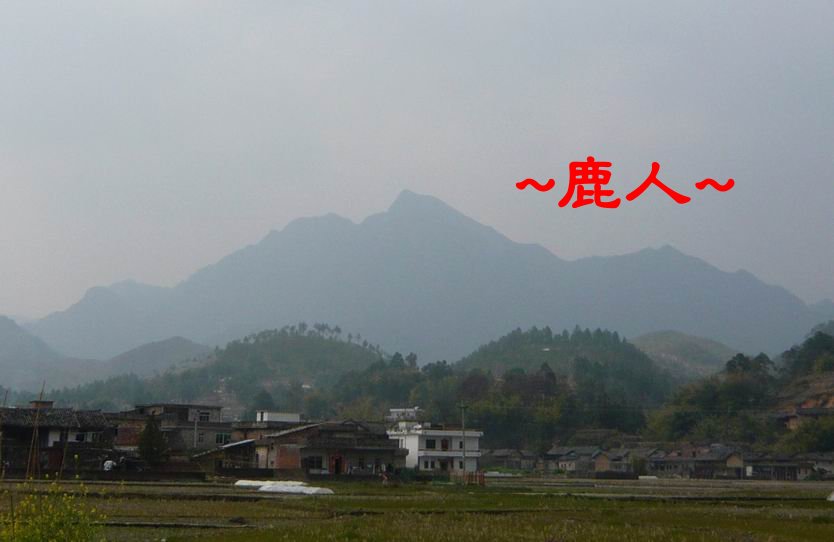 清晨來讀你1.JPG