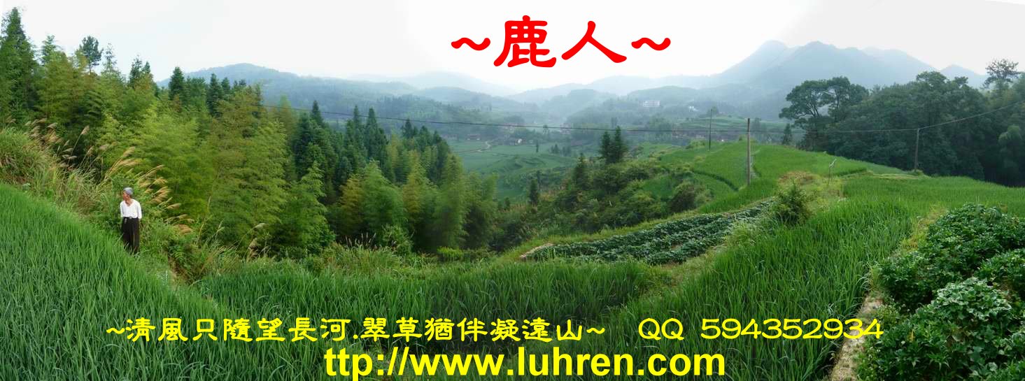 清晨尋脈_2.JPG
