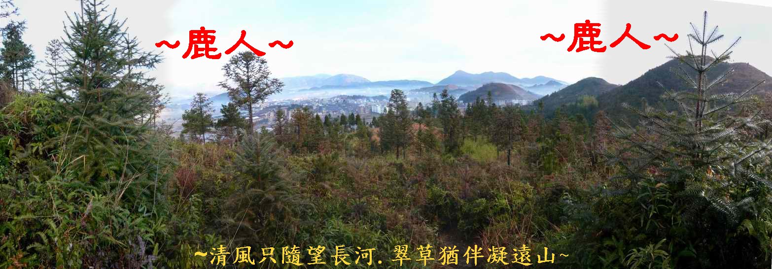 猛回頭_04.JPG
