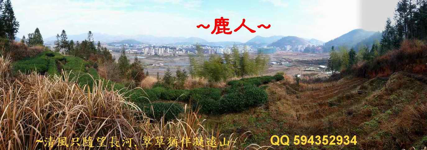 猛回頭_07.JPG