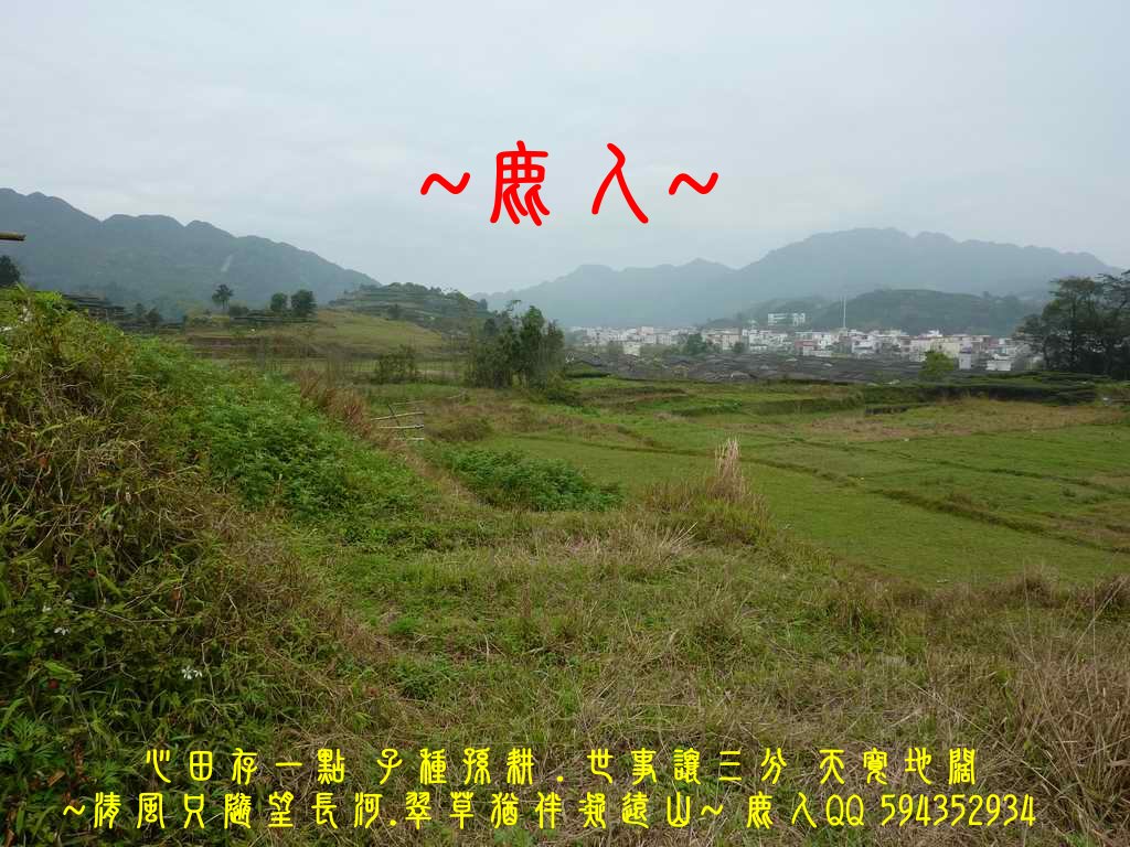 想飛3.jpg