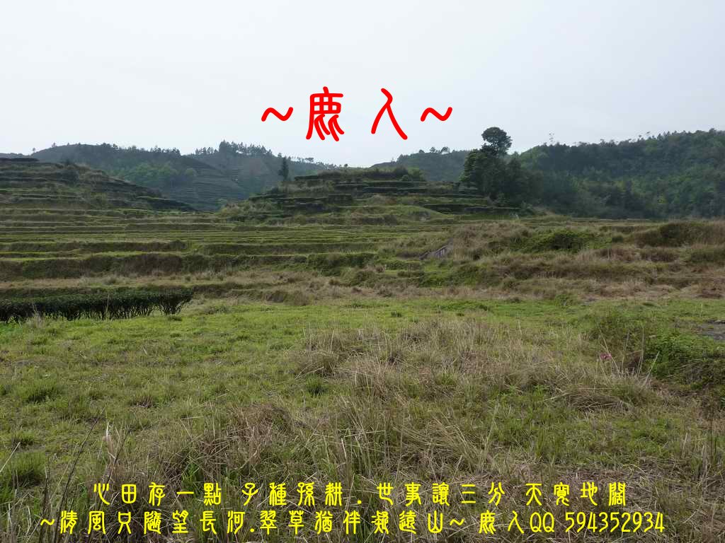 想飛5.jpg