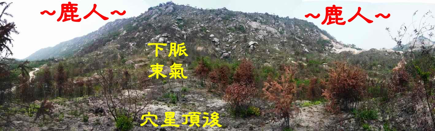 楊氏始祖墓_01.JPG