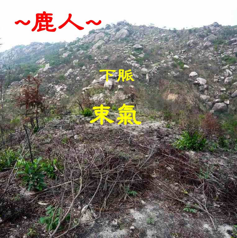 楊氏始祖墓_02.JPG
