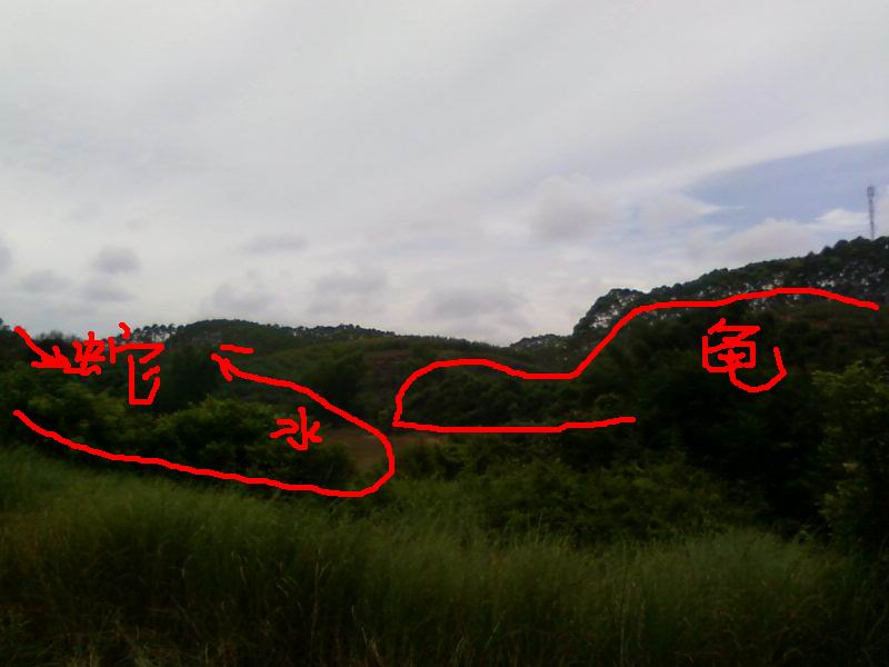 照片-0099_2.jpg