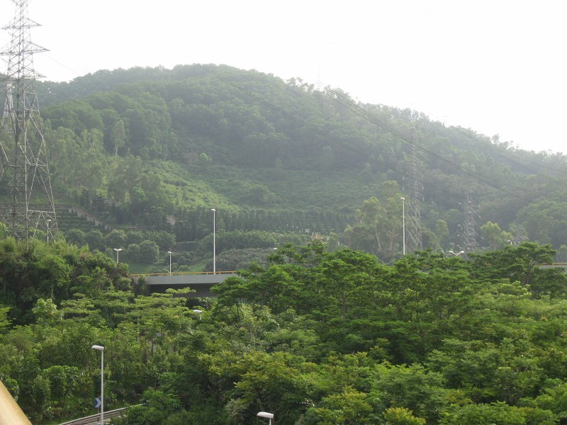 照片 009a.jpg
