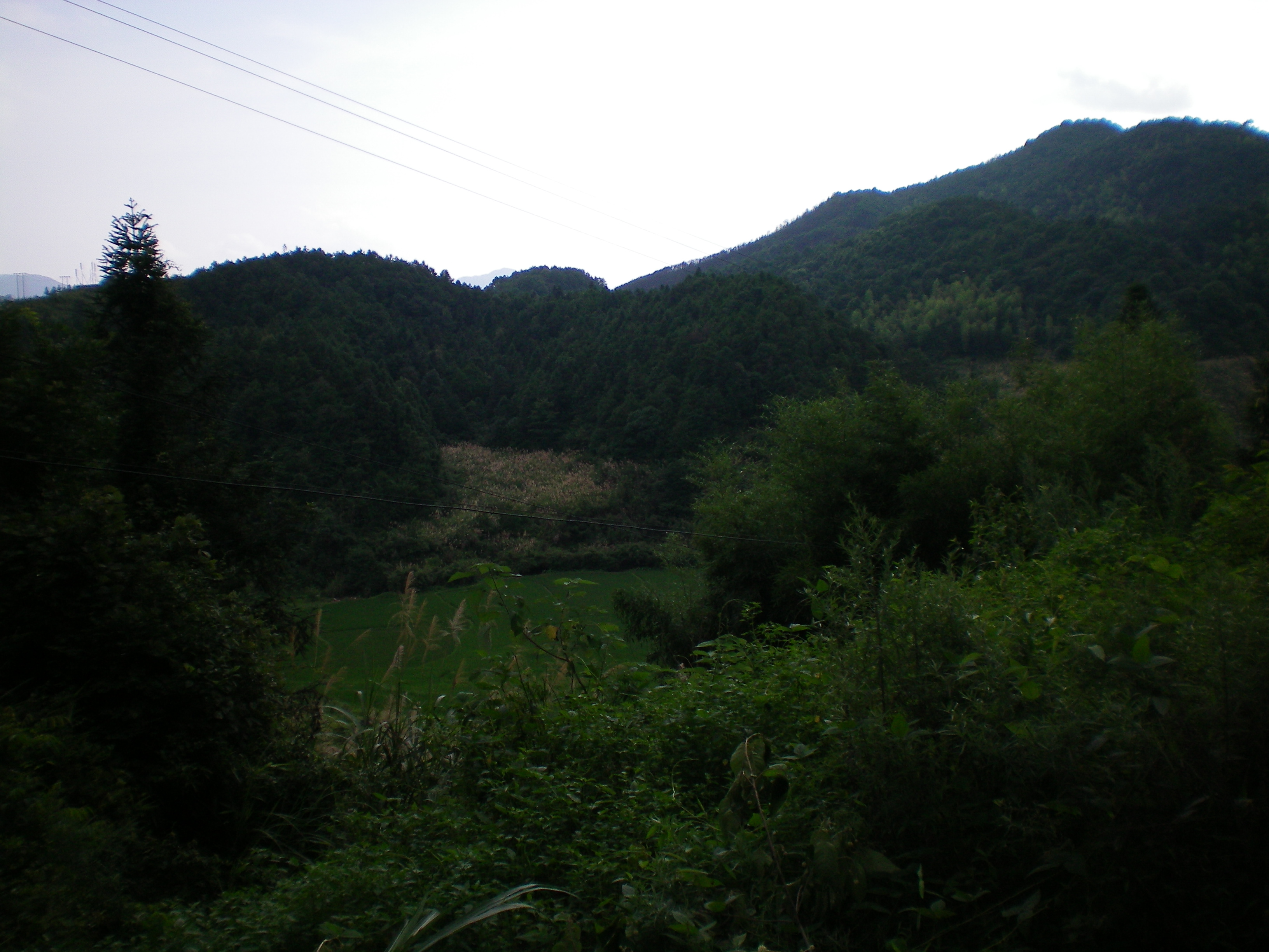 照片 046.jpg