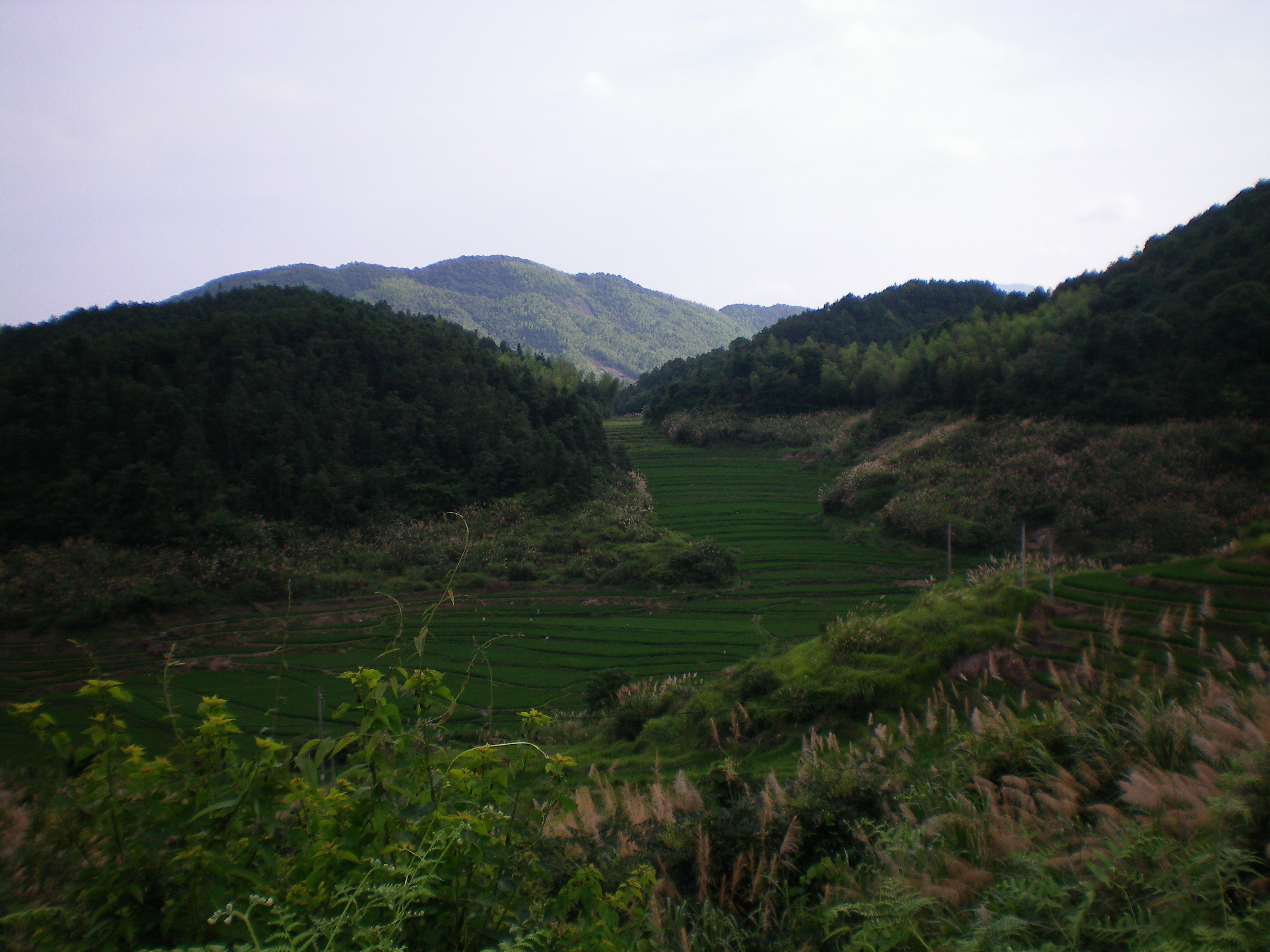 照片 049.jpg