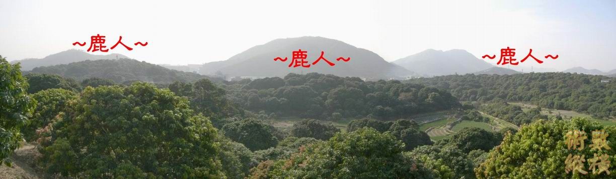 朝堂3.JPG
