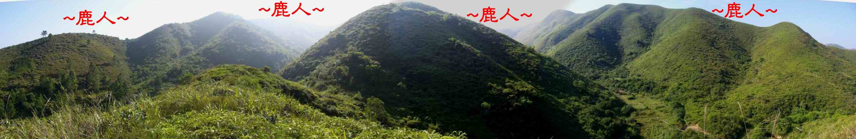 登臂貼近側觀君王.JPG