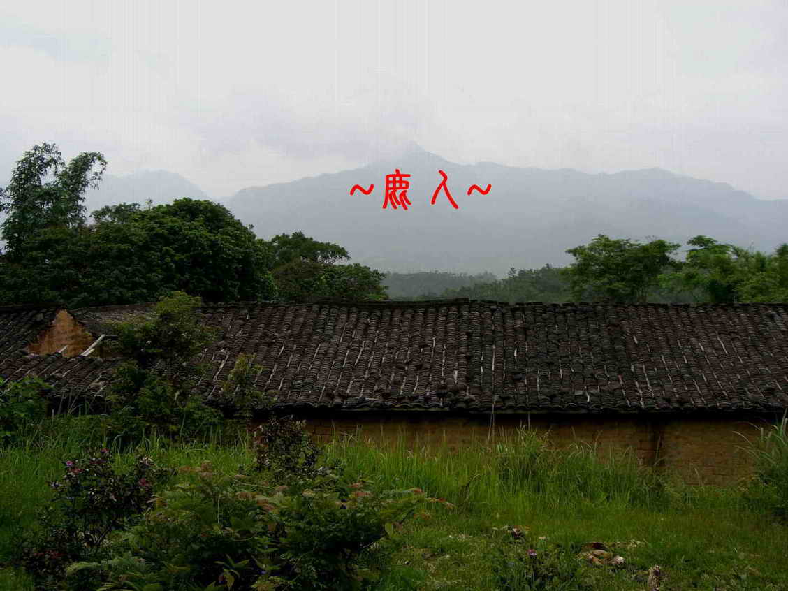 等待1.JPG