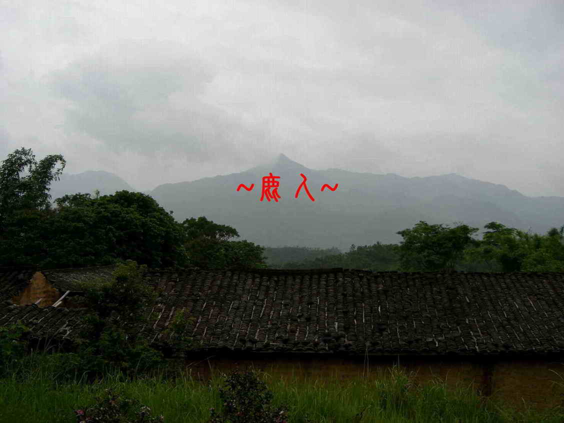 等待2.JPG
