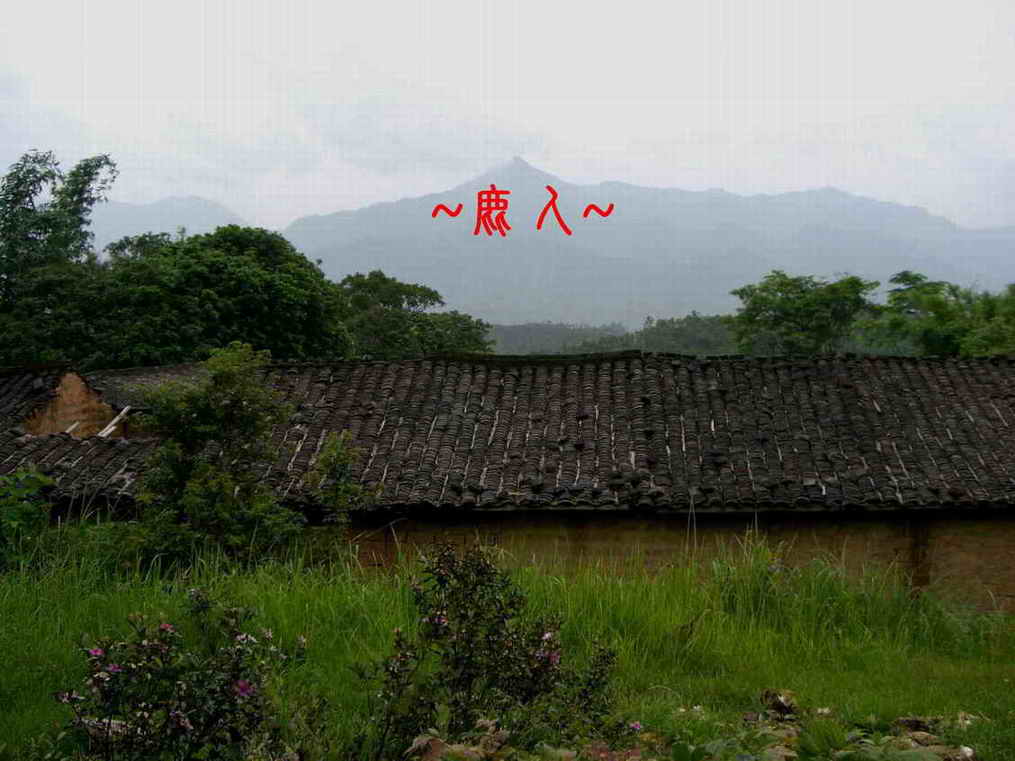 等待3.JPG