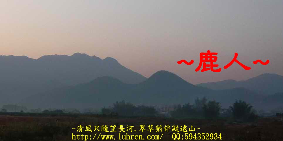 等待陽光_1.JPG