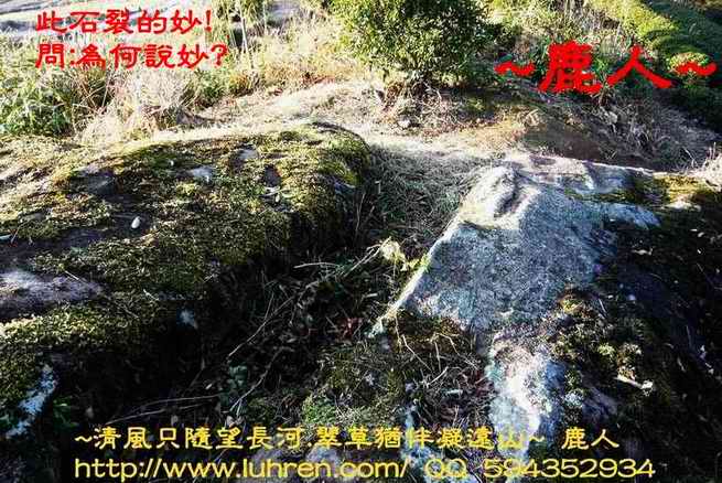裂的妙_01_1.JPG