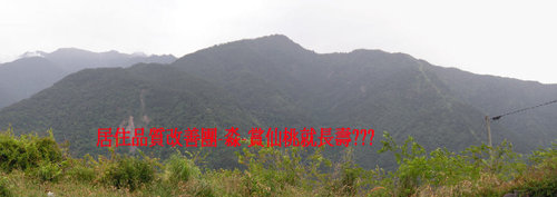 超大的仙桃.jpg